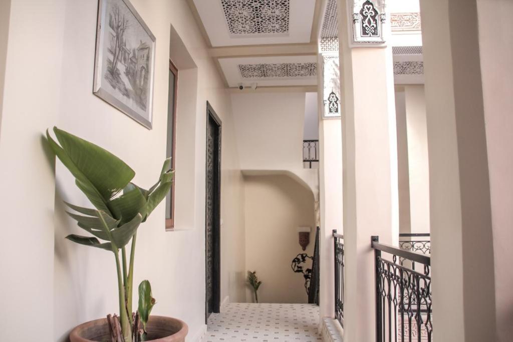Riad Amazing Marrakesh Eksteriør bilde